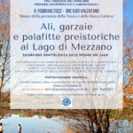 Ali, garzaie e palafitte preistoriche al lago di mezzano