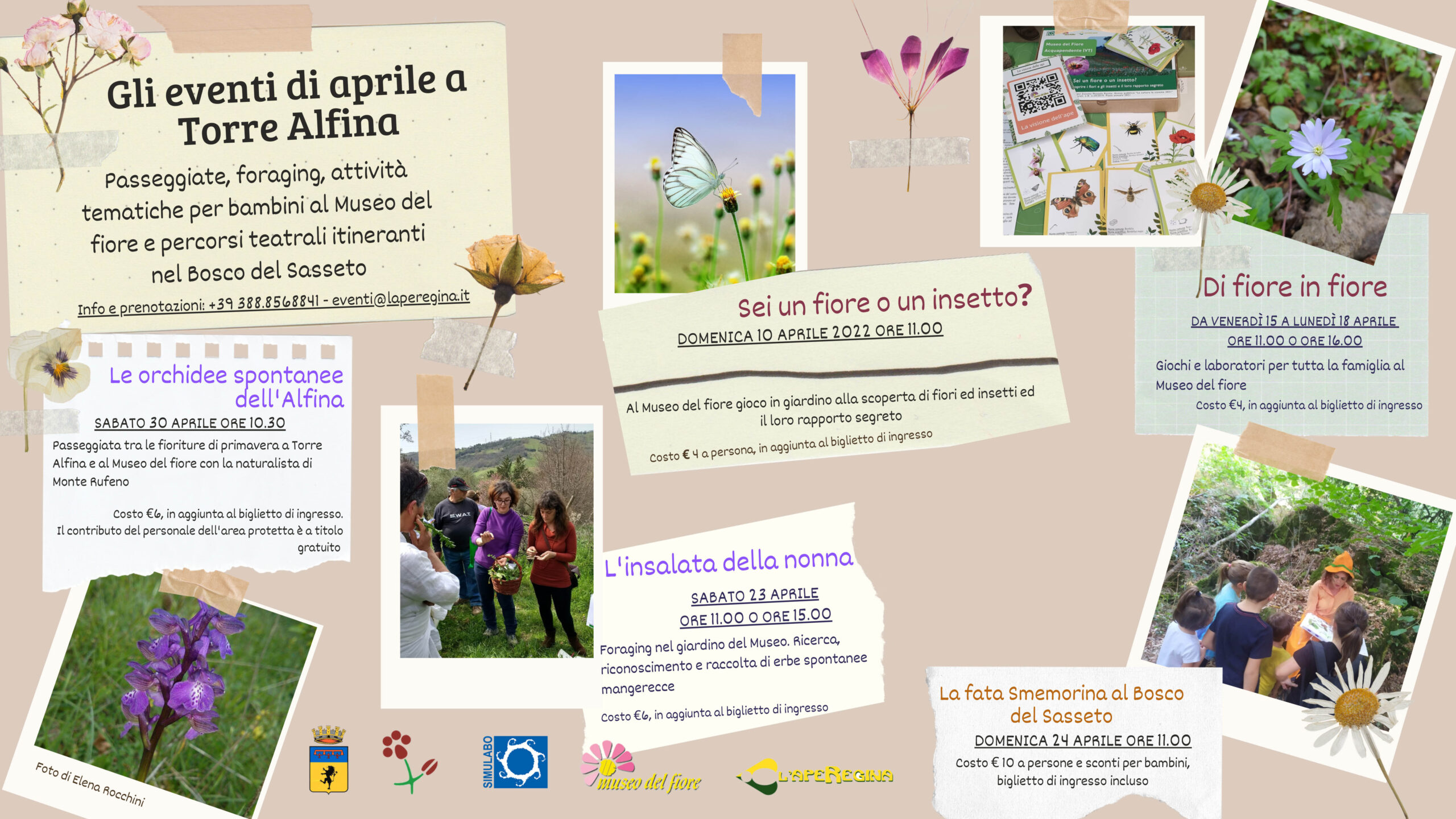 Di fiore in fiore!