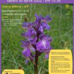 Le orchidee spontanee dell’Alfina