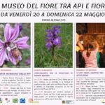 Il Museo del fiore tra api e fiori: La giornata mondiale delle api