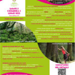 Vivere il bosco in tutti e con tutti i sensi - Forest bathing
