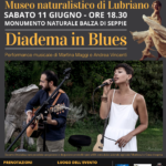 Diadema in blues - Museion 2022
