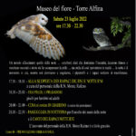 Predatori in volo
