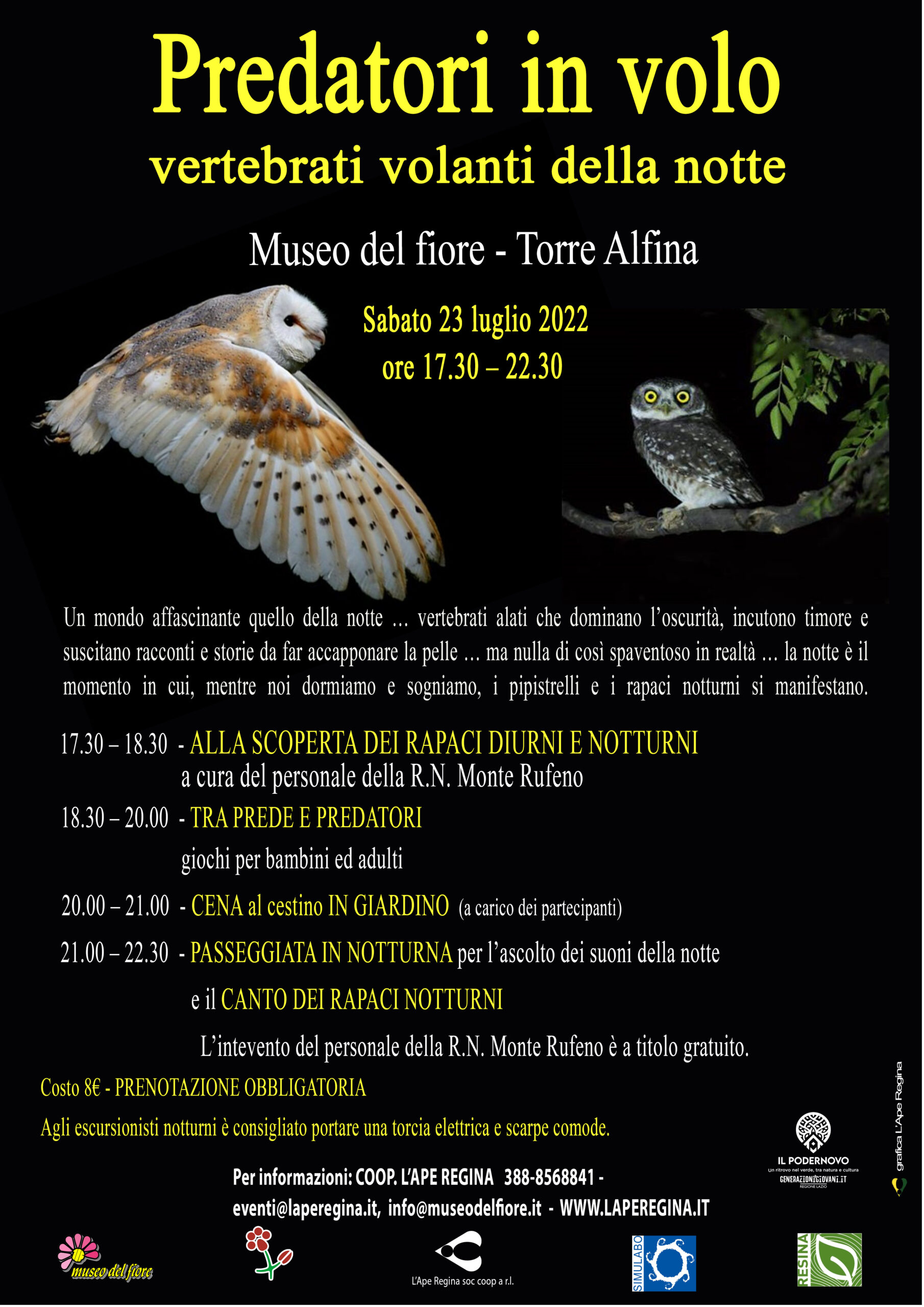 Predatori in volo