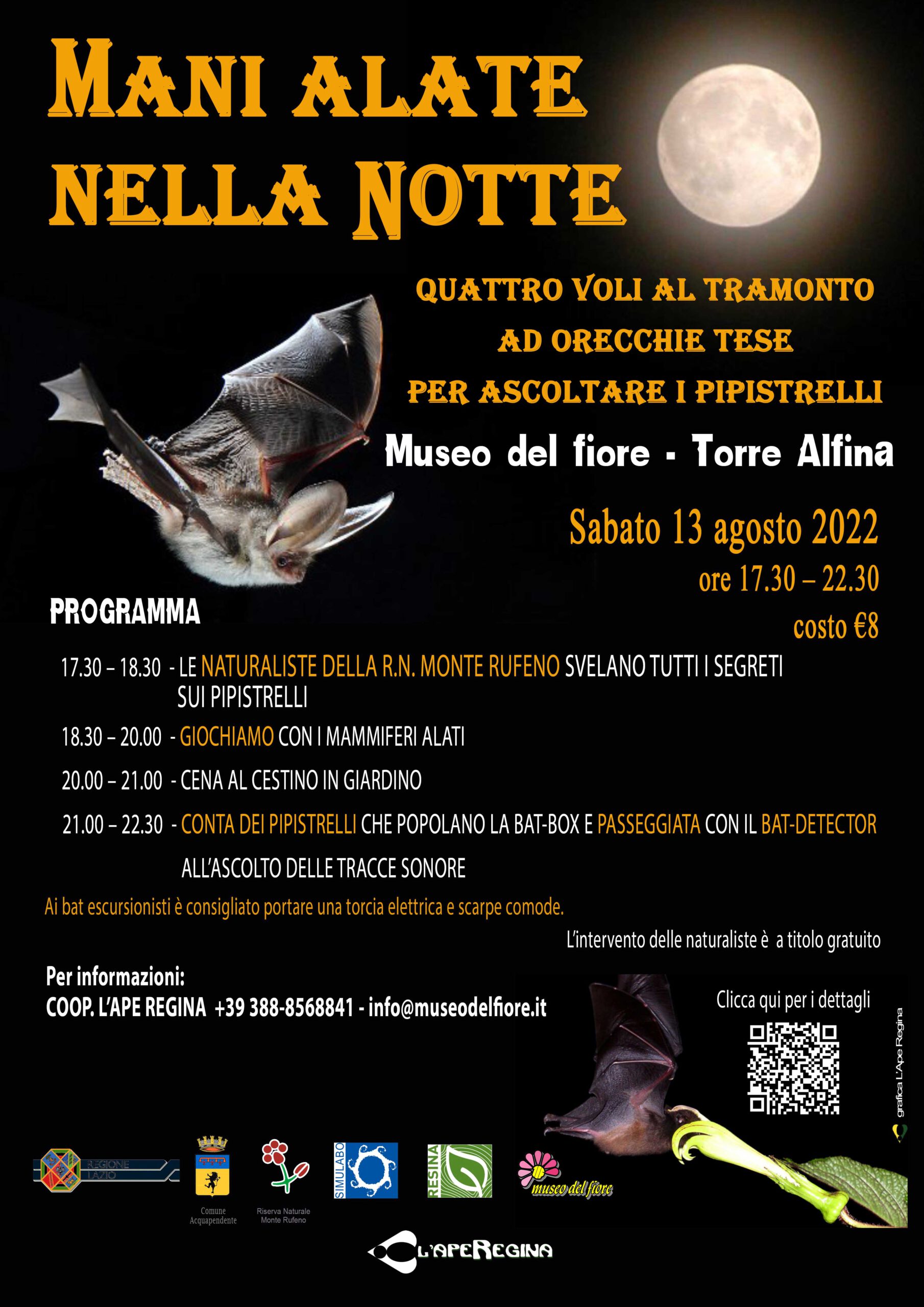Mani alate nella notte