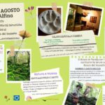 Lungo ‘La Scialimata’ sulle tracce di Madre natura