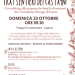 Tra i sentieri dei castagni