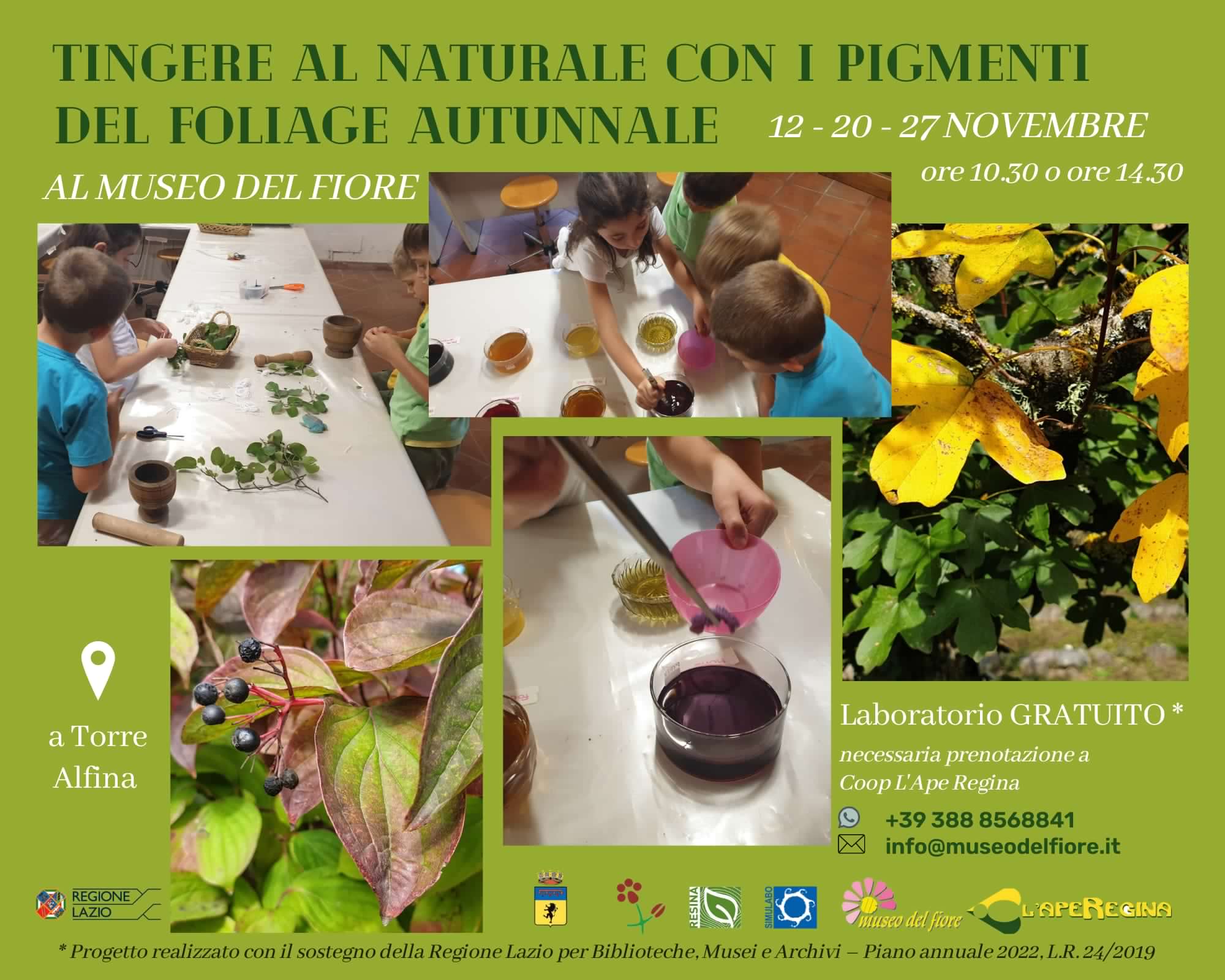 Tingere al naturale con i pigmenti del foliage d’autunno