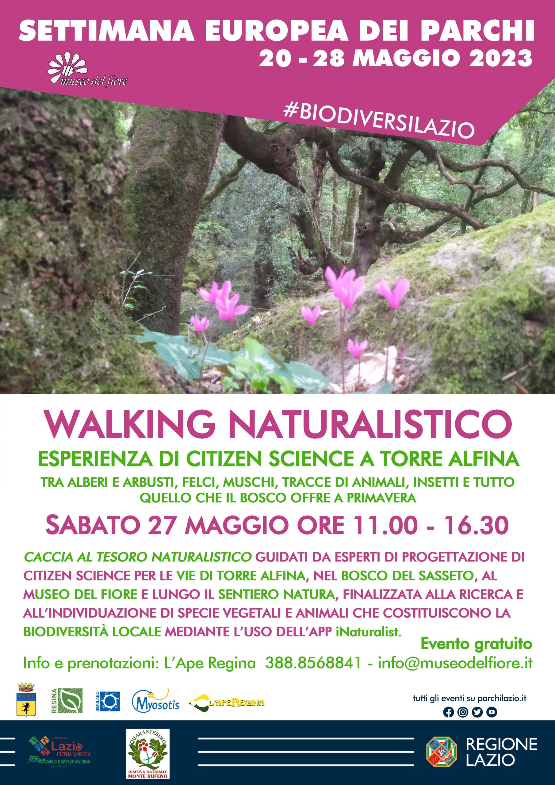 Walking naturalistico – Esperienza di Citizen Science a Torre Alfina