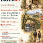 AGER 3.0 - Dove il cammino entra nel bosco