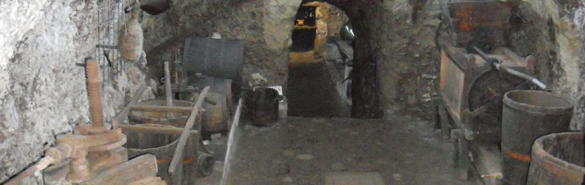DSCN1481