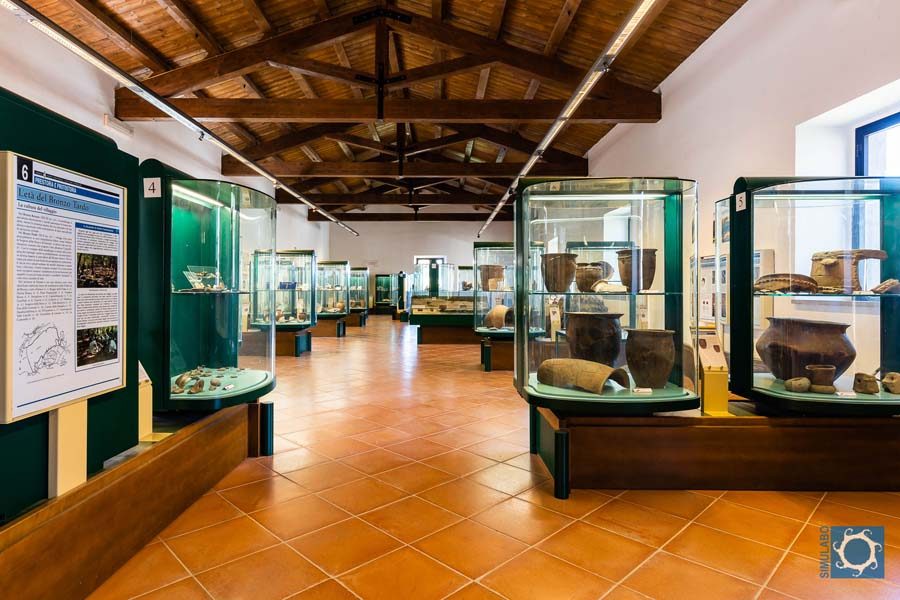 Museo civico F. Rittatore Vonwiller Farnese 02