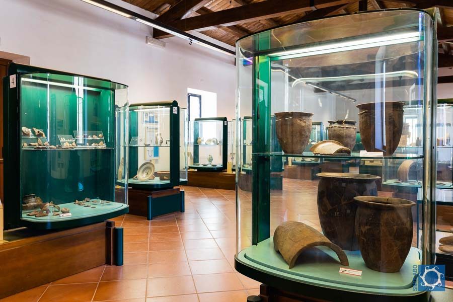 Museo civico F. Rittatore Vonwiller Farnese 04