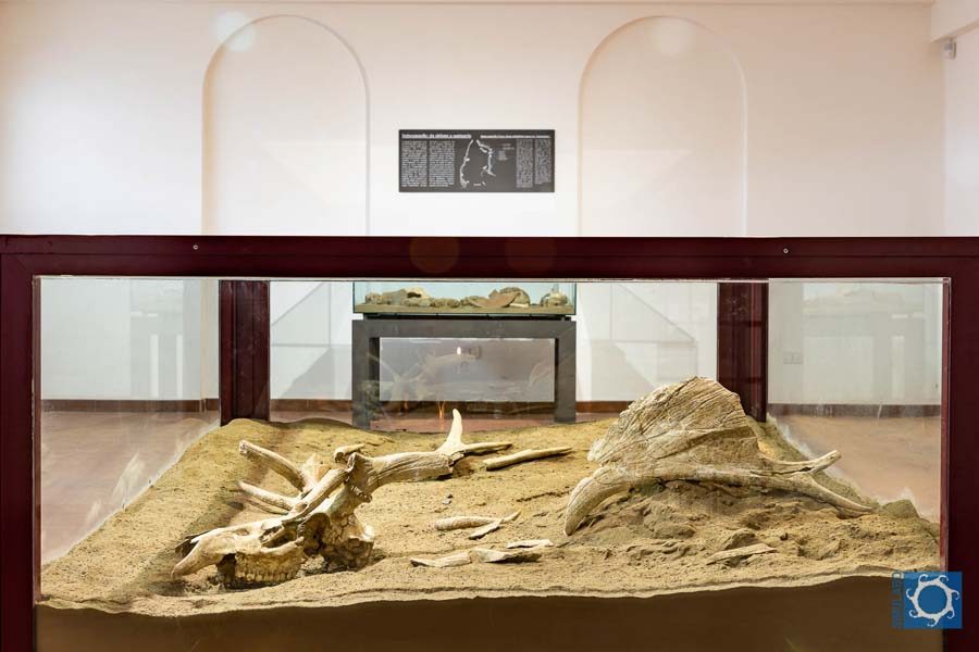 Museo civico e archeologico Pietro e Turiddo Lotti Ischia di Castro 02