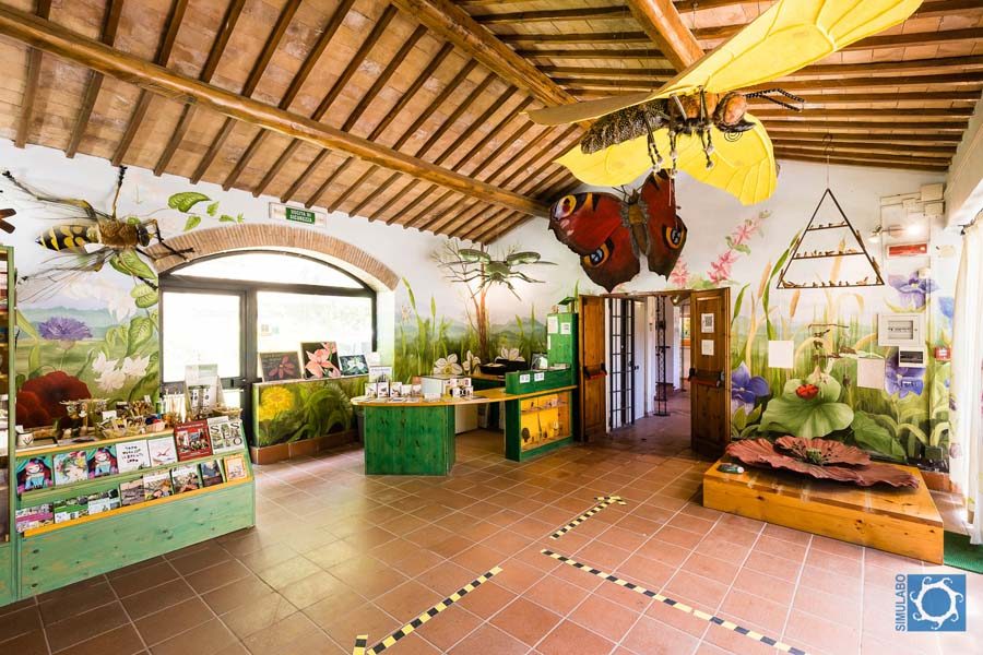 Museo del Fiore Acquapendente 02
