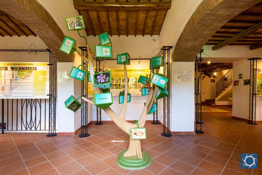 Museo del Fiore Acquapendente 06