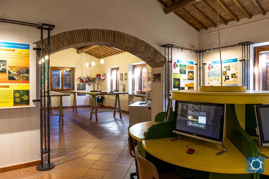 Museo del Fiore Acquapendente 07