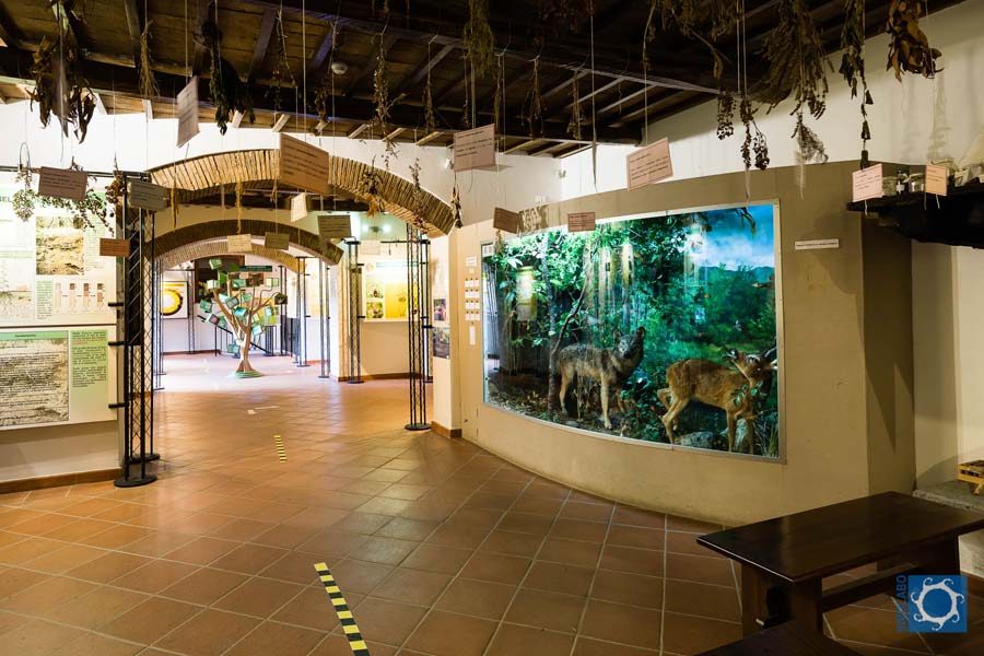 Museo del Fiore Acquapendente 08