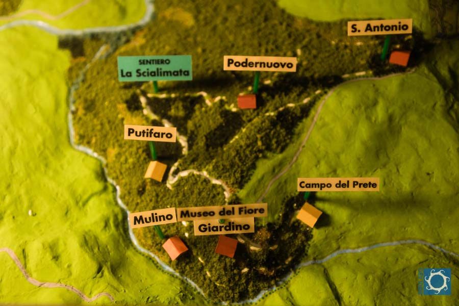 Museo del Fiore Acquapendente 09