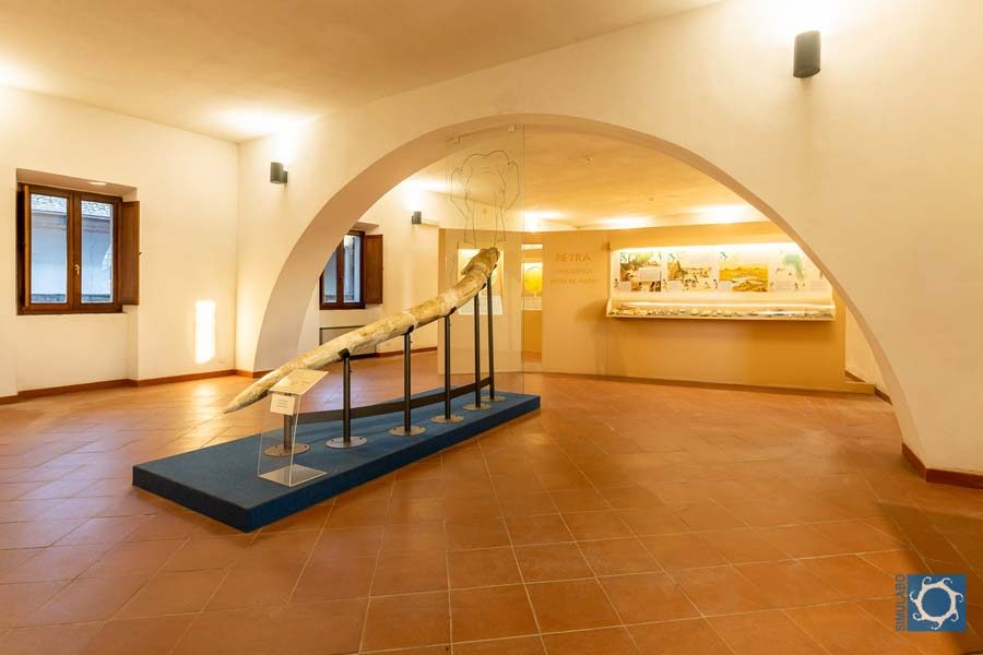 Museo della preistoria della Tuscia e della Rocca Farnese Valentano 03